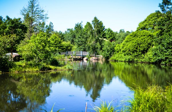 Lake Beautiful