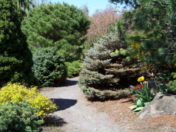Trail of Beauty