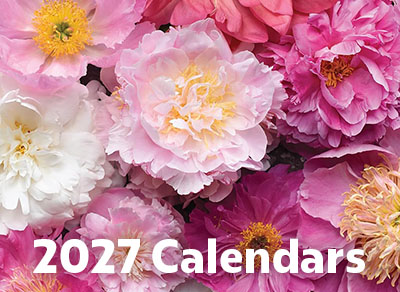 2027 Calendars