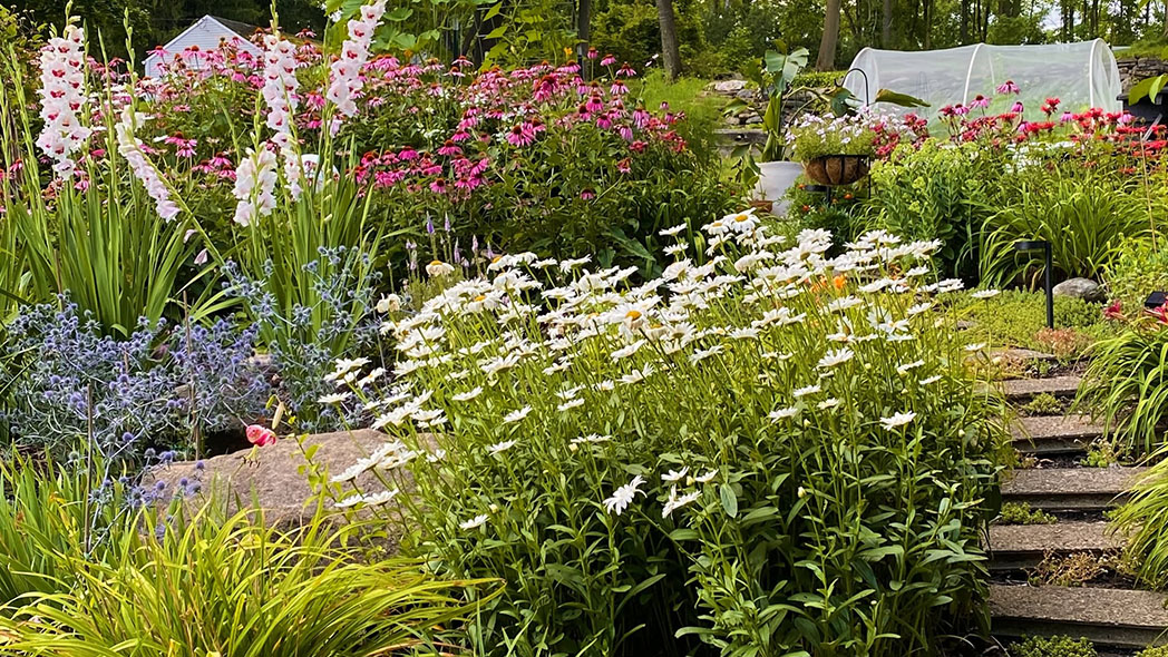 Akron-Newstead Garden Walk