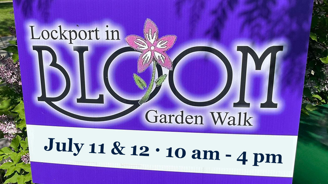 Lockport in Bloom