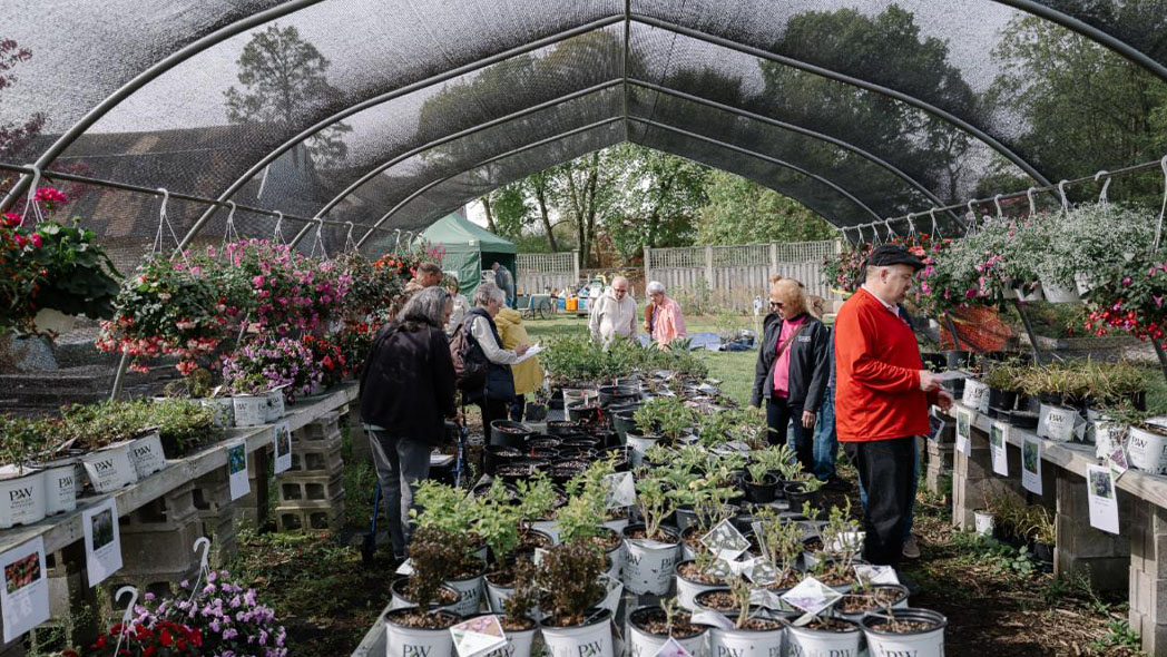 Plant Sale