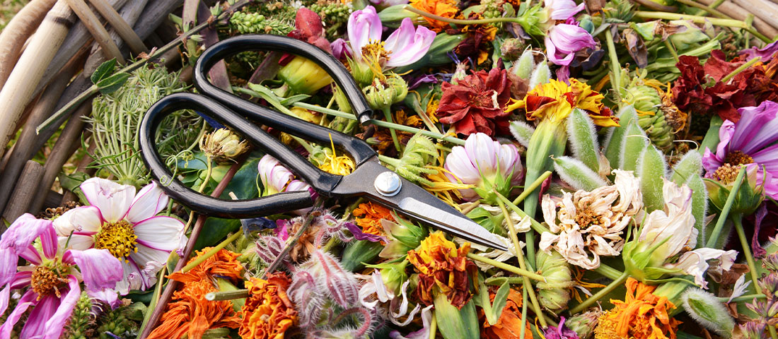 Deadheading