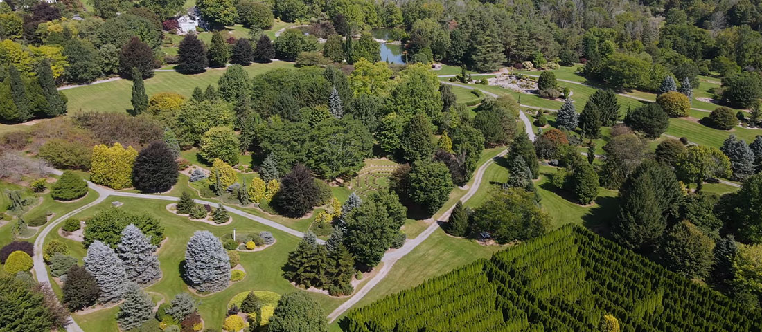 Sycamore Hill Gardens